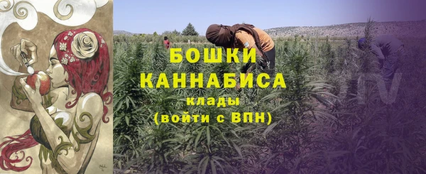 крисы Арсеньев