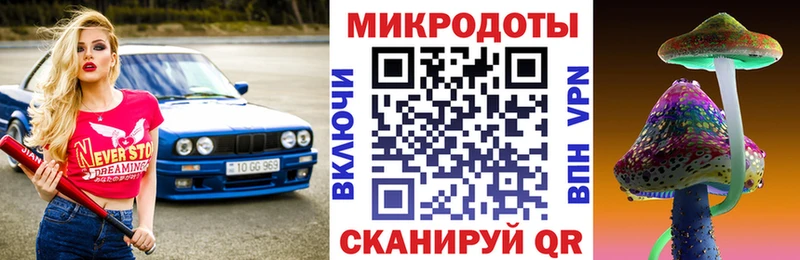 Купить закладки  Нахабино  Псилоцибиновые грибы Cubensis 